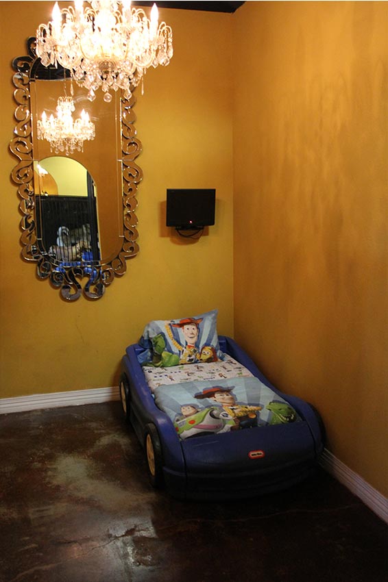 Luxury Dog Suites Gallery Las Vegas Dog Hotel Dog Day Care Center