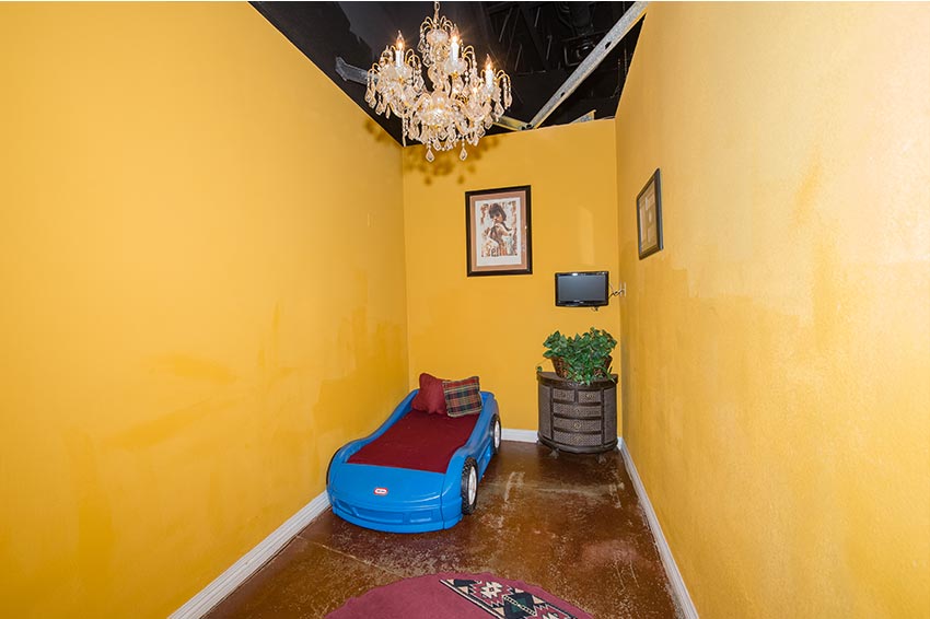 Luxury Dog Suites Gallery Las Vegas Dog Hotel Dog Day Care Center