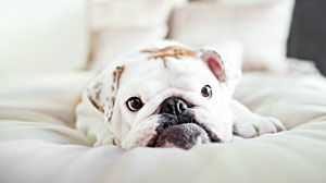 Pictures and boarding updates