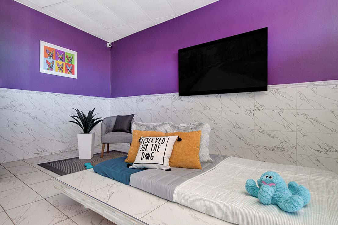 Pawhouse Suite dog boarding room in Las Vegas